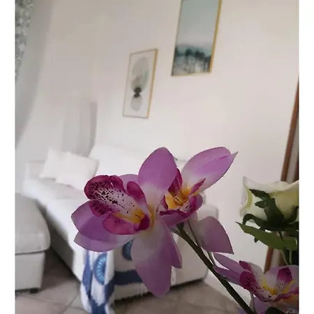 Villa Panoramica Con Piscina Altavilla Milicia